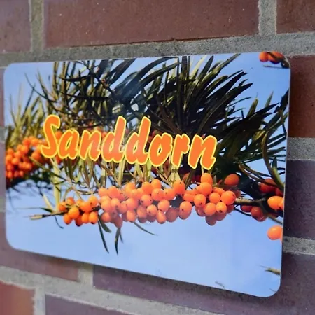 Sanddorn *