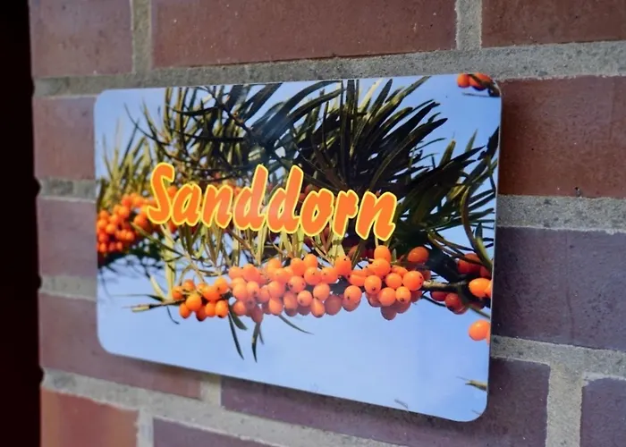 Sanddorn *